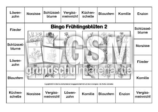 Bingo-Frühlingsblüten-2-SW.pdf